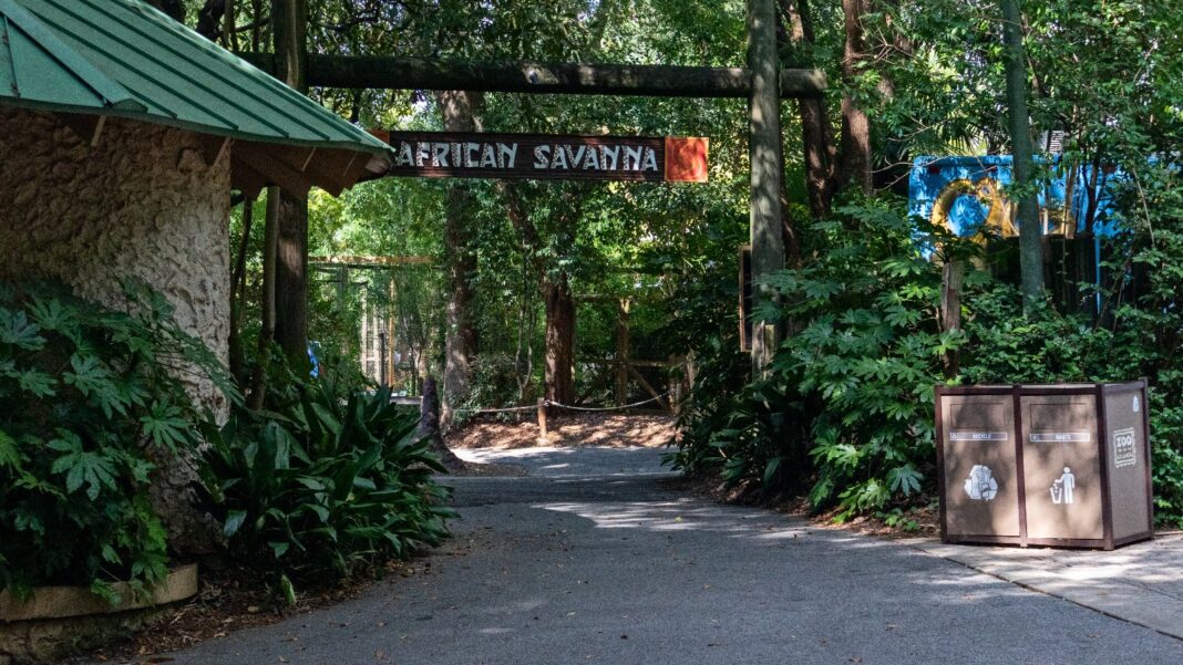 CareerRise’s September 30 Summit Brings Atlanta Workforce Groups Together at Zoo Atlanta A shaded paved path leads under a wooden sign reading African Savanna into a lush planted area at Zoo Atlanta