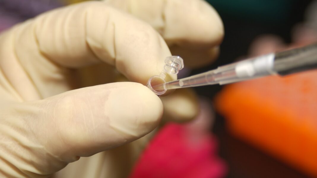 Close-up of a gloved hand using a pipette to draw liquid from a small test tube