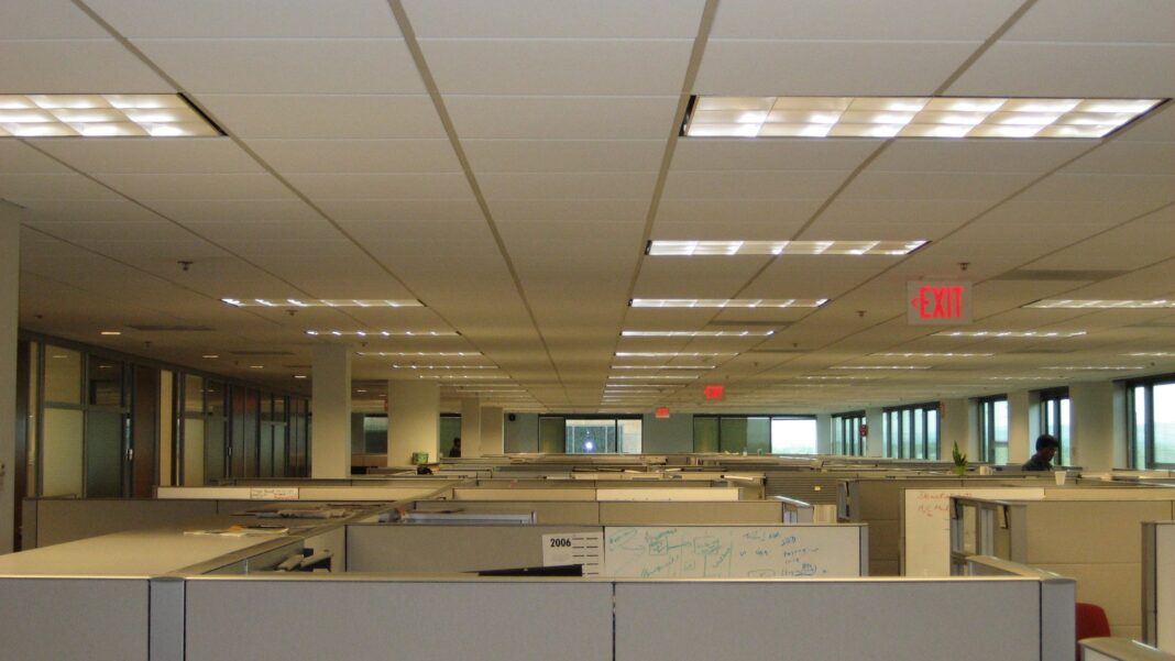 White-Collar Industries Have Grown Output About 16% Since Late 2022 While Payrolls Fell 2% A long corridor between rows of gray office cubicles under fluorescent ceiling lights, with no people visible